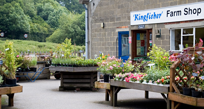 New Stockist! : Kingfisher Farm Shop